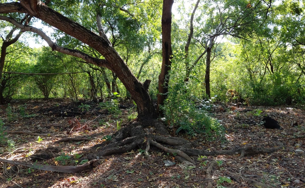 1.25 Acres for sale in Watamu