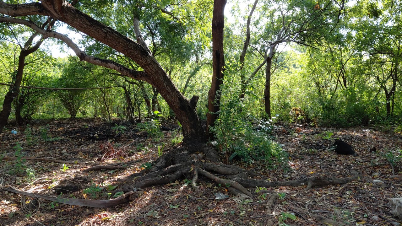 1.25 Acres for sale in Watamu