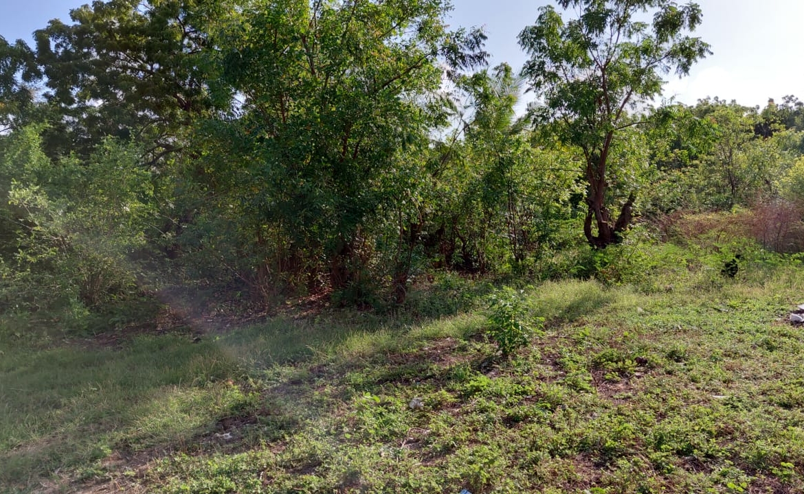 1.25 Acres for sale in Watamu