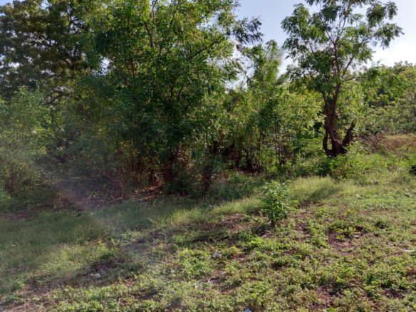 1.25 Acres for sale in Watamu
