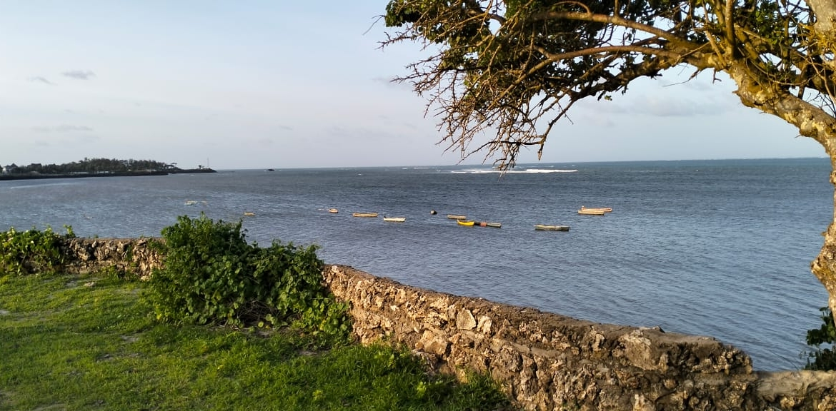 Beachfront Plots for sale in Casuarina Beach Kivulini, Malindi — panoramic Indian Ocean