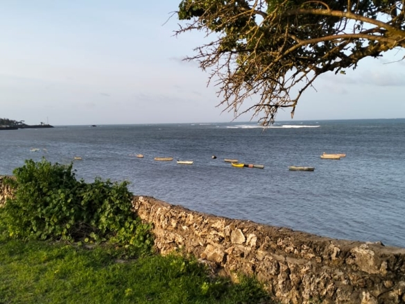 Beachfront Plots for sale in Casuarina Beach Kivulini, Malindi — panoramic Indian Ocean