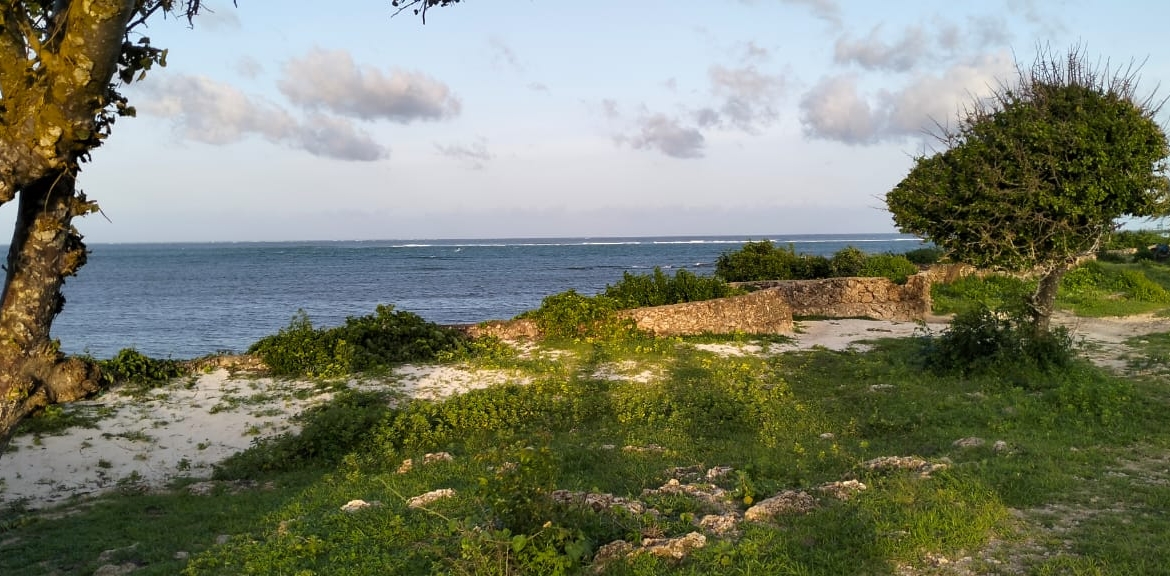 Beachfront Plots for sale in Casuarina Beach Kivulini, Malindi — panoramic Indian Ocean