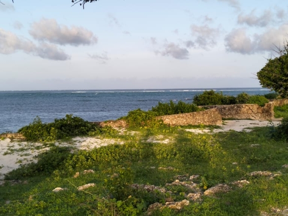 Beachfront Plots for sale in Casuarina Beach Kivulini, Malindi — panoramic Indian Ocean