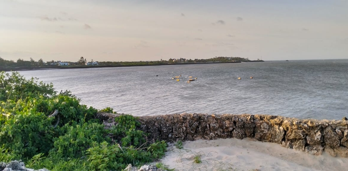 Beachfront Plots for sale in Casuarina Beach Kivulini, Malindi — panoramic Indian Ocean
