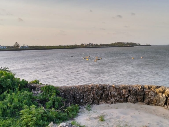 Beachfront Plots for sale in Casuarina Beach Kivulini, Malindi — panoramic Indian Ocean