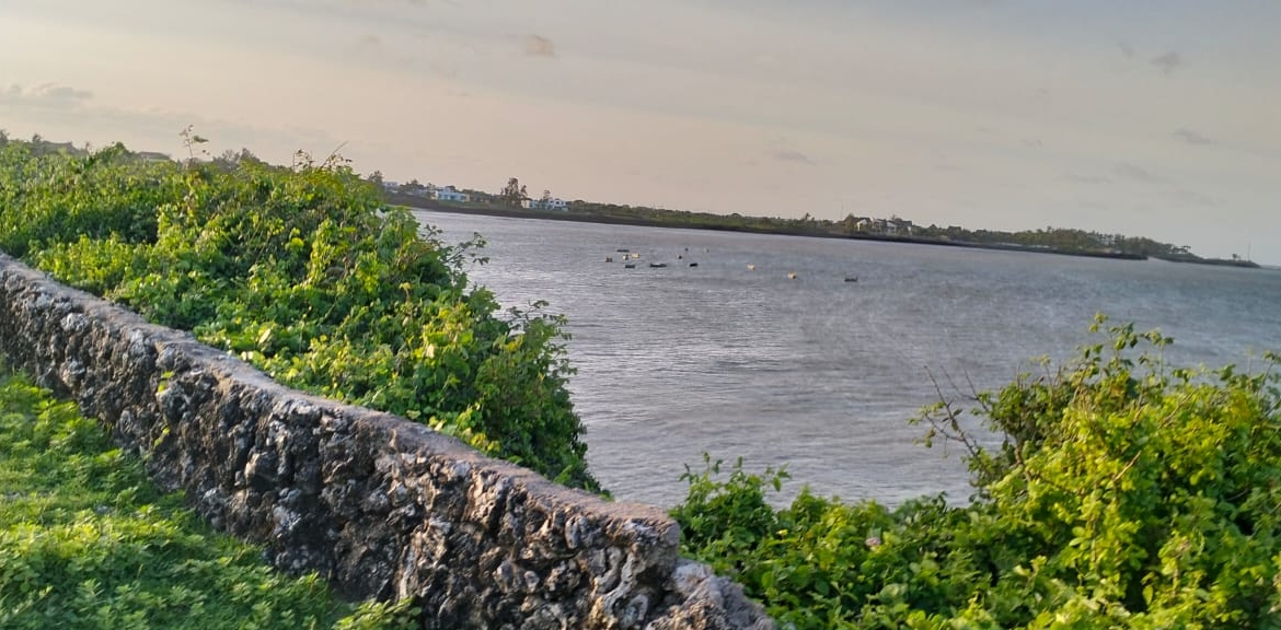 Beachfront Plots for sale in Casuarina Beach Kivulini, Malindi — panoramic Indian Ocean
