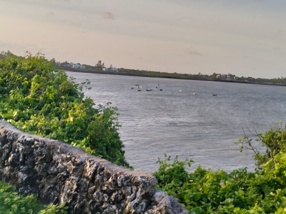 Beachfront Plots for sale in Casuarina Beach Kivulini, Malindi — panoramic Indian Ocean