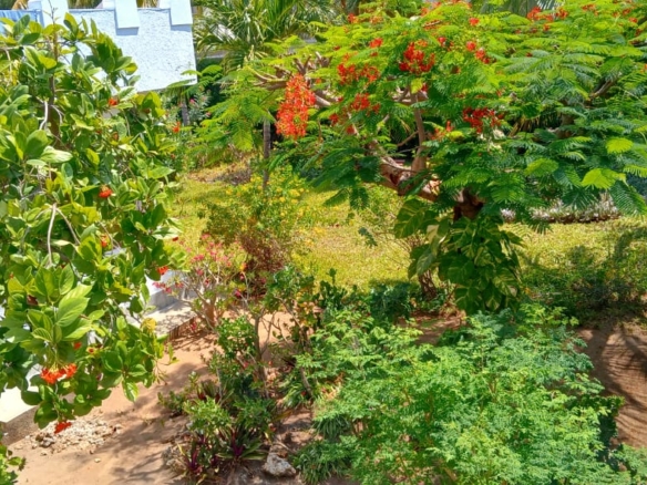 Watamu, Peponi 4bed-house-half-acre-near-beach for sale