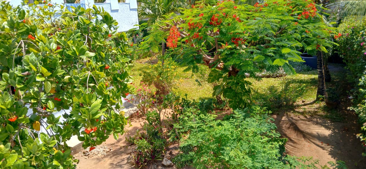 Watamu, Peponi 4bed-house-half-acre-near-beach for sale