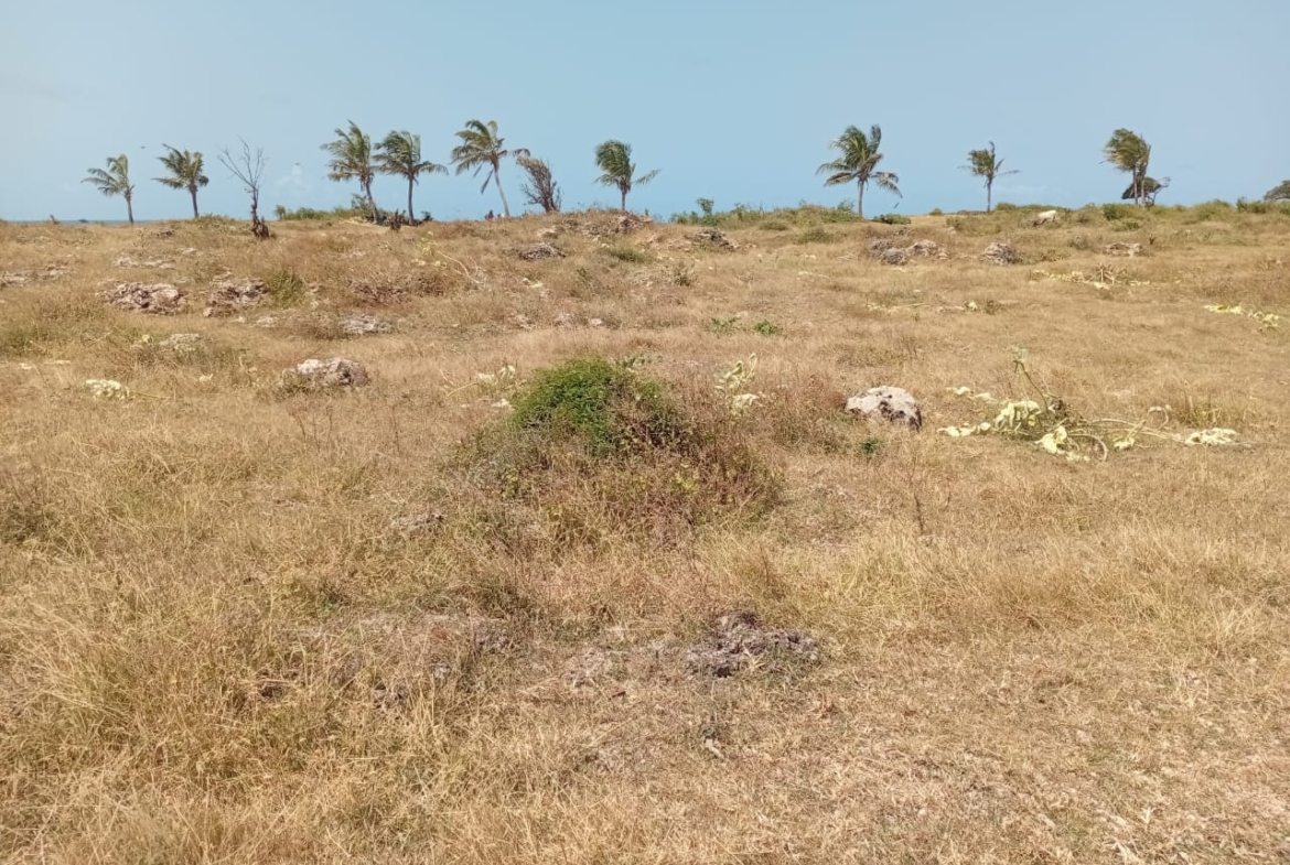 Casuarina Beach shoreline near Kivulini, Malindi — panoramic Indian Ocean view.