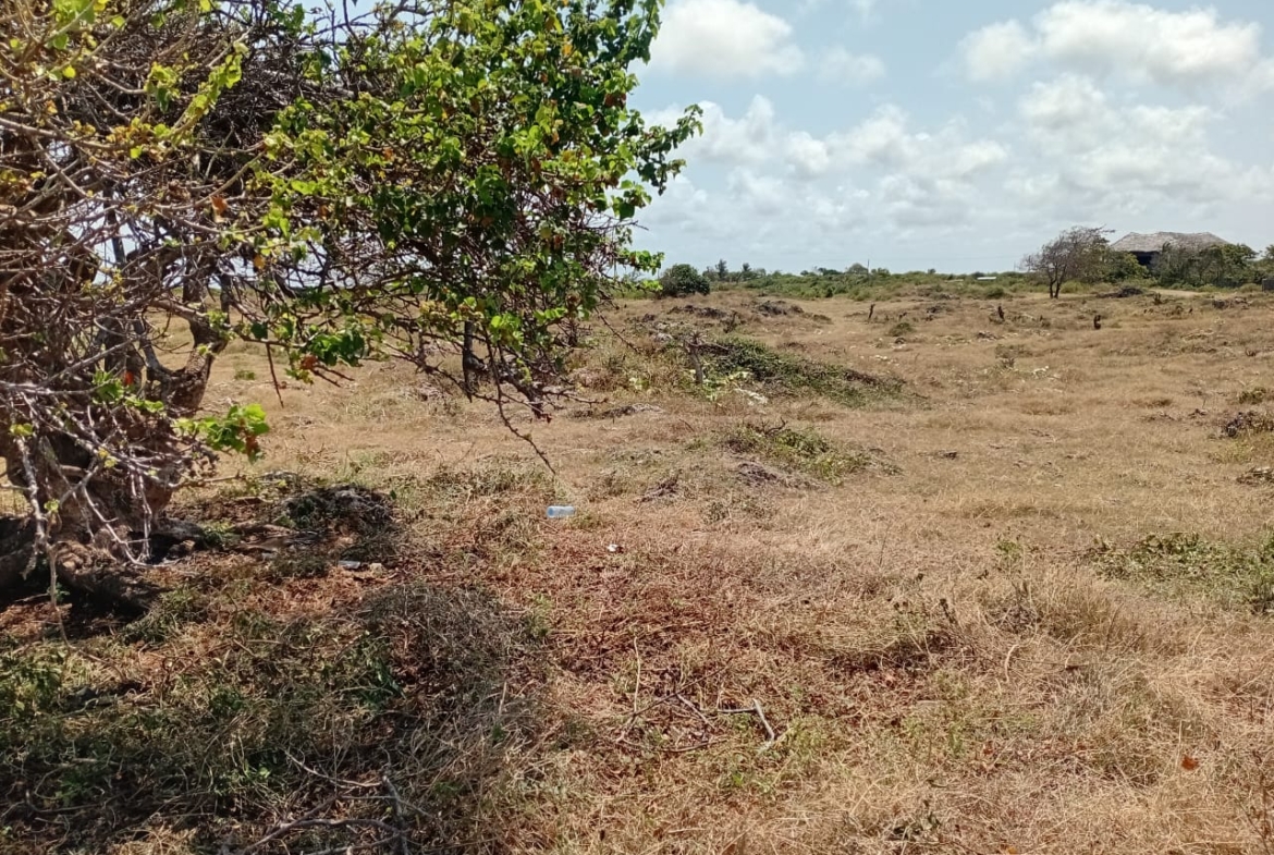 Casuarina Beach shoreline near Kivulini, Malindi — panoramic Indian Ocean view.