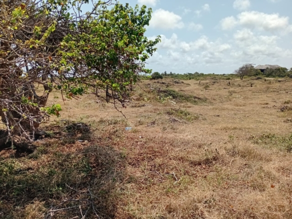 Casuarina Beach shoreline near Kivulini, Malindi — panoramic Indian Ocean view.