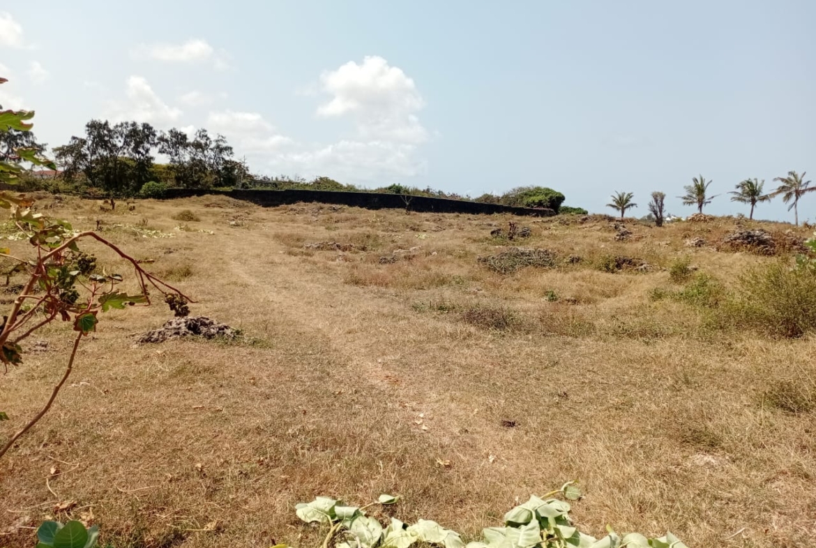 Casuarina Beach shoreline near Kivulini, Malindi — panoramic Indian Ocean view.