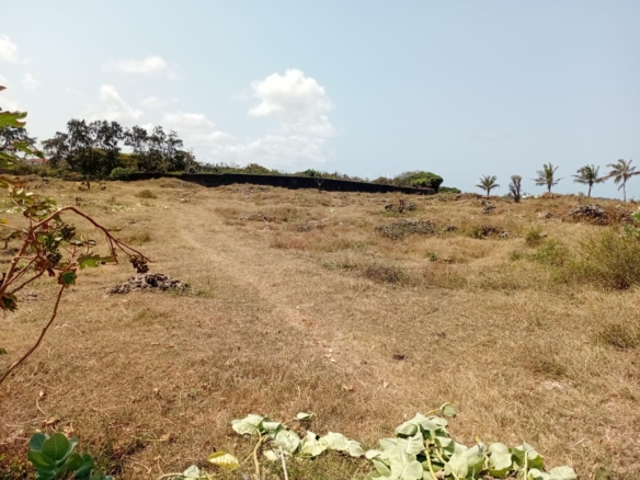 Casuarina Beach shoreline near Kivulini, Malindi — panoramic Indian Ocean view.