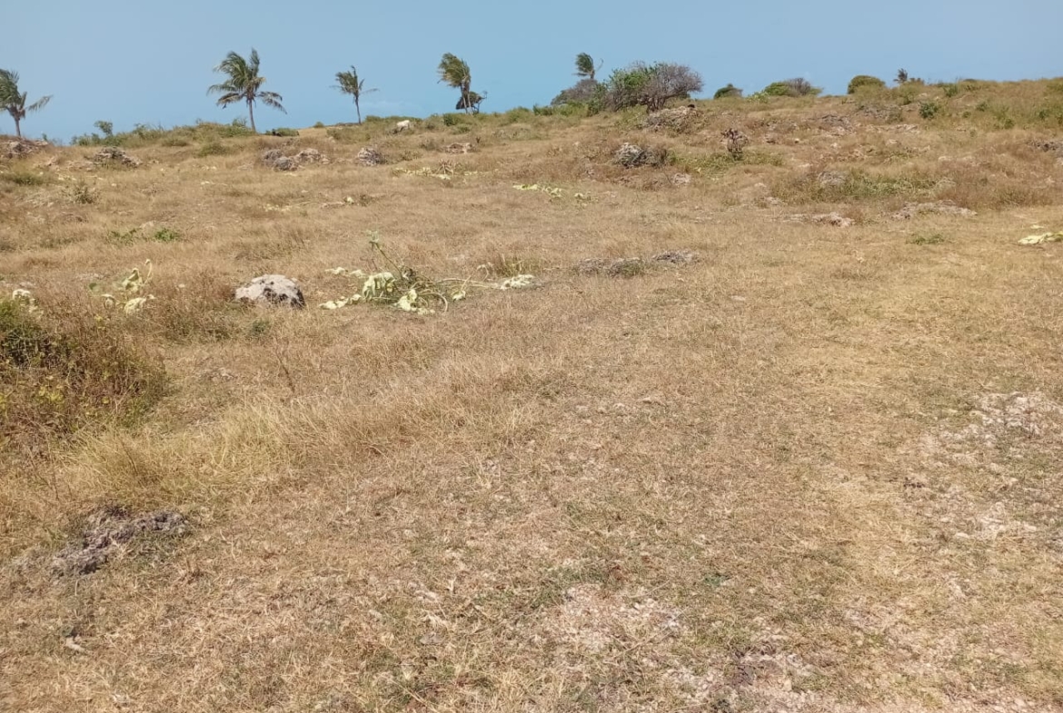 Casuarina Beach shoreline near Kivulini, Malindi — panoramic Indian Ocean view.