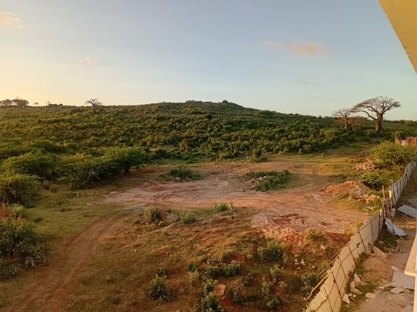 Sabaki Bridge land for sale, 50x100 meter plots Kenya, affordable land Malindi, coastal plots Kilifi