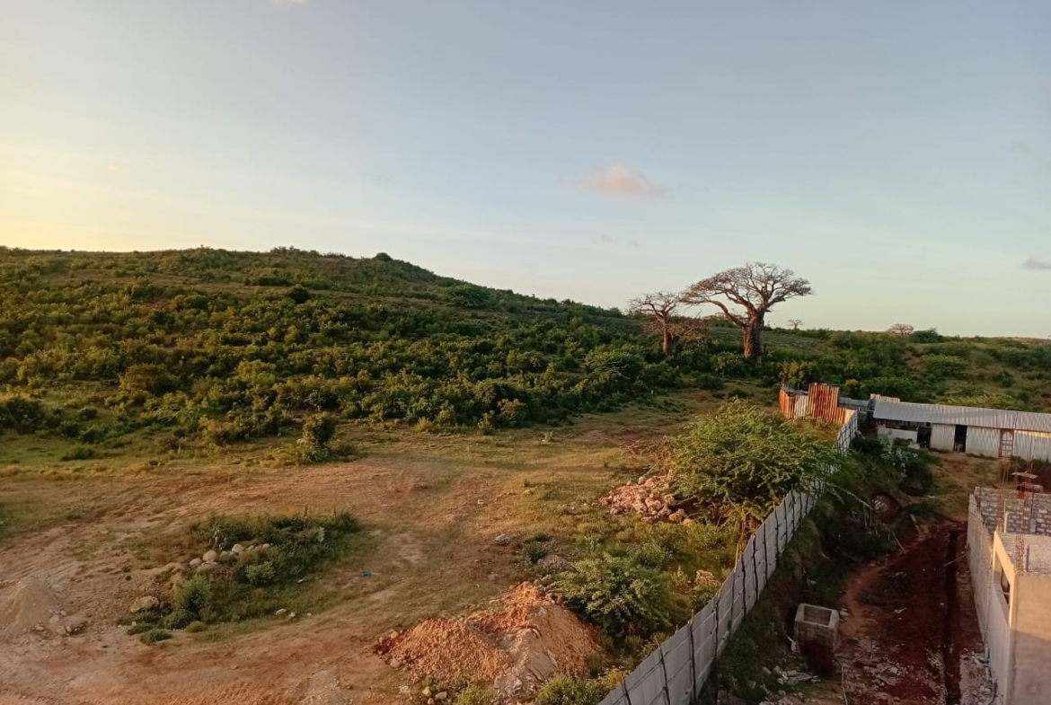Sabaki Bridge land for sale, 50x100 meter plots Kenya, affordable land Malindi, coastal plots Kilifi