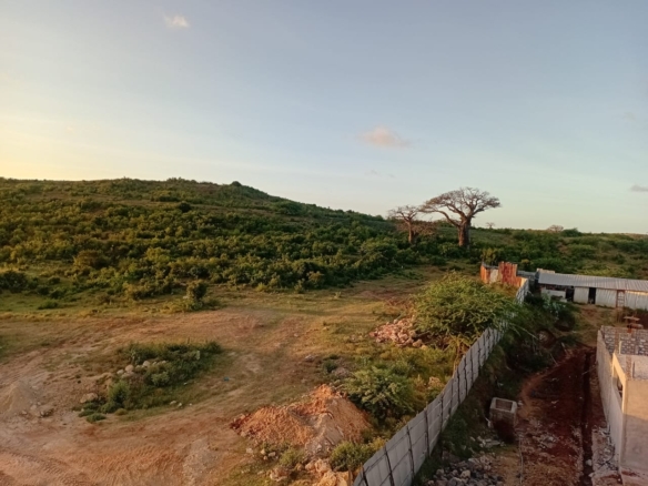 Sabaki Bridge land for sale, 50x100 meter plots Kenya, affordable land Malindi, coastal plots Kilifi