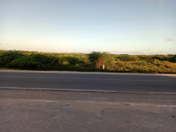 Sabaki Bridge land for sale, 50x100 meter plots Kenya, affordable land Malindi, coastal plots Kilifi