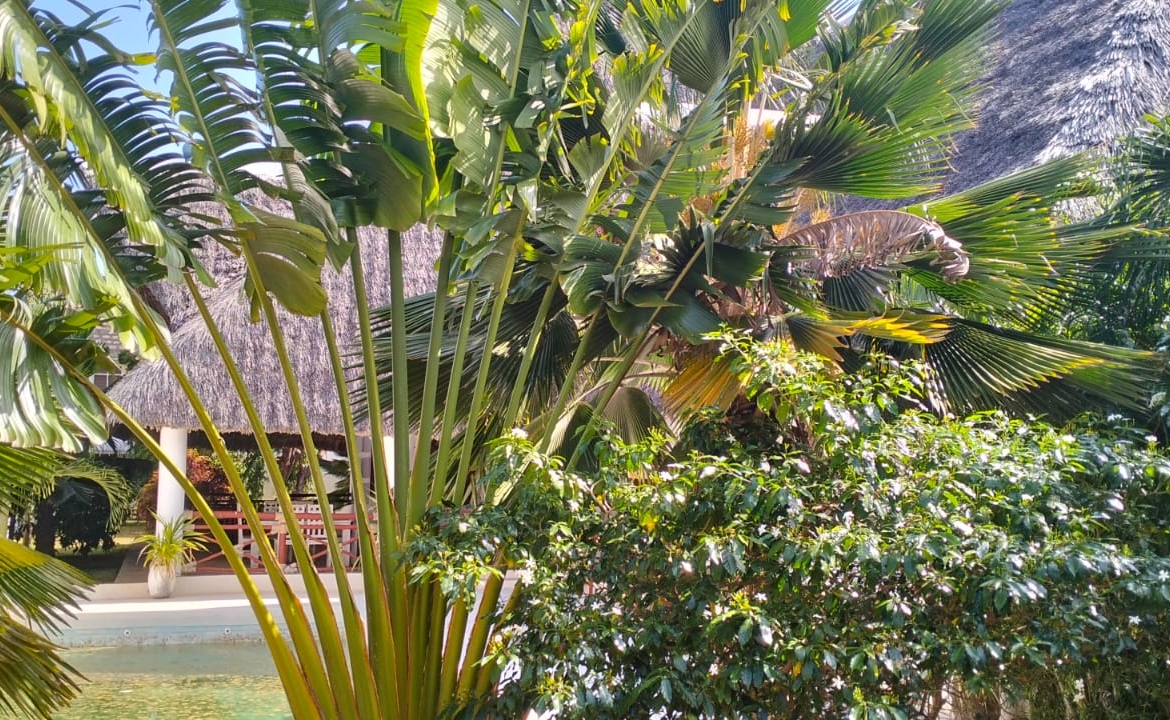 Malindi villa for sale, Casuarina Road property, Malindi real estate, 4 bedroom villa Kenya, luxury villa Malindi, coastal homes Kenya, Malindi investment property, Mkaazi Real Estate
