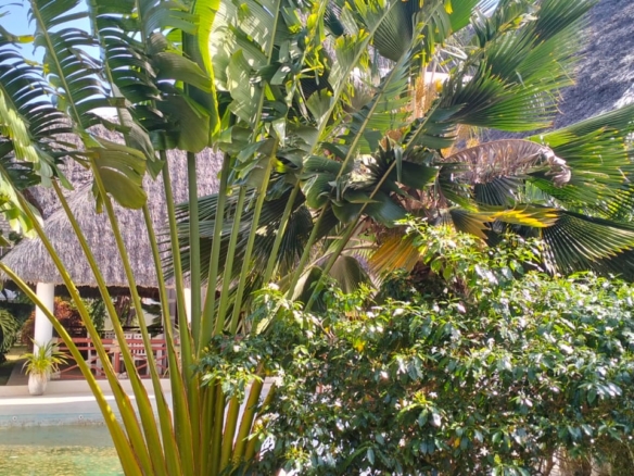 Malindi villa for sale, Casuarina Road property, Malindi real estate, 4 bedroom villa Kenya, luxury villa Malindi, coastal homes Kenya, Malindi investment property, Mkaazi Real Estate