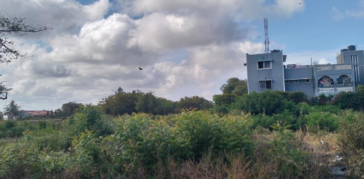 Prime 50x100 vacant plot in Casuarina, Malindi for KSh 3.5M. Secure and well-positioned just off Casuarina Road, 10 minutes to Silver Sands Beach. Perfect for residential or boutique commercial use, with utilities nearby and a clean title. Contact Mkaazi Real Estate LTD for viewing and verification today.
