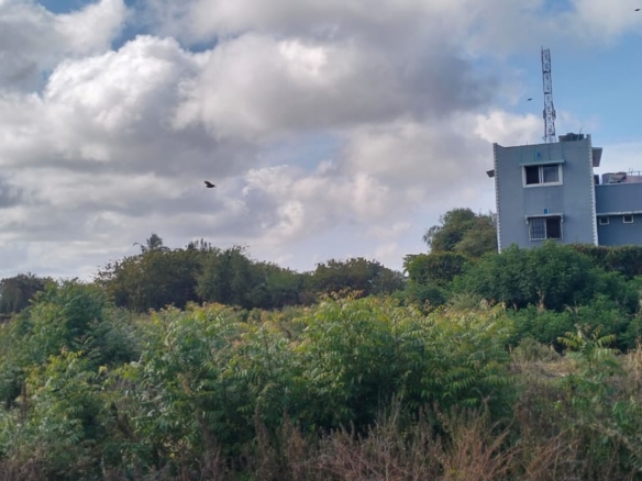 Prime 50x100 vacant plot in Casuarina, Malindi for KSh 3.5M. Secure and well-positioned just off Casuarina Road, 10 minutes to Silver Sands Beach. Perfect for residential or boutique commercial use, with utilities nearby and a clean title. Contact Mkaazi Real Estate LTD for viewing and verification today.