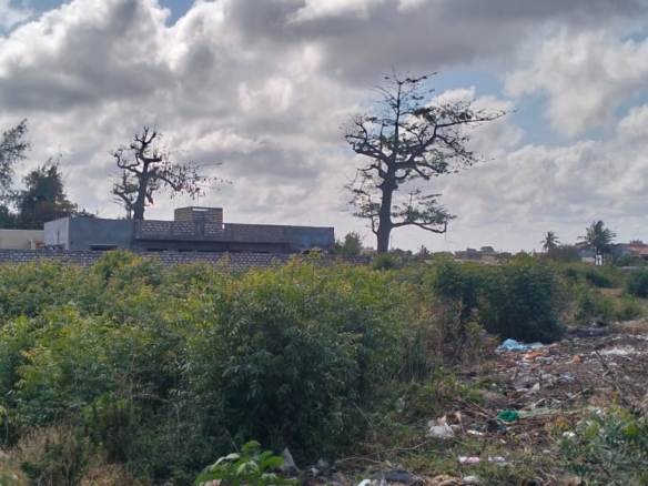 Prime 50x100 vacant plot in Casuarina, Malindi for KSh 3.5M. Secure and well-positioned just off Casuarina Road, 10 minutes to Silver Sands Beach. Perfect for residential or boutique commercial use, with utilities nearby and a clean title. Contact Mkaazi Real Estate LTD for viewing and verification today.