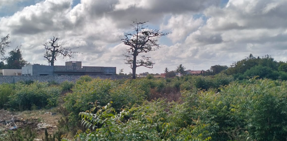Prime 50x100 vacant plot in Casuarina, Malindi for KSh 3.5M. Secure and well-positioned just off Casuarina Road, 10 minutes to Silver Sands Beach. Perfect for residential or boutique commercial use, with utilities nearby and a clean title. Contact Mkaazi Real Estate LTD for viewing and verification today.