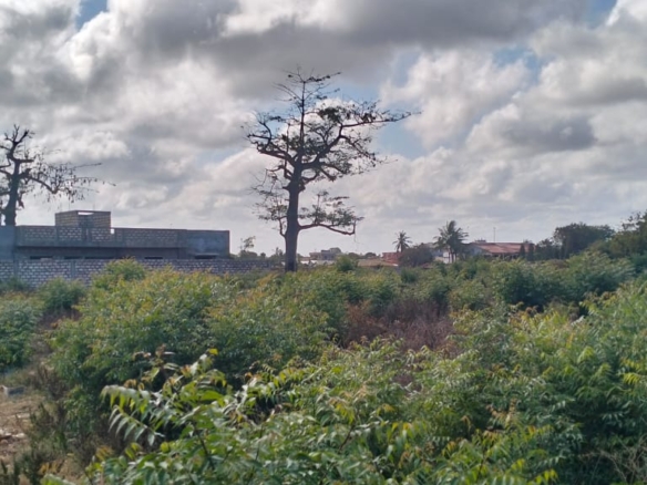 Prime 50x100 vacant plot in Casuarina, Malindi for KSh 3.5M. Secure and well-positioned just off Casuarina Road, 10 minutes to Silver Sands Beach. Perfect for residential or boutique commercial use, with utilities nearby and a clean title. Contact Mkaazi Real Estate LTD for viewing and verification today.