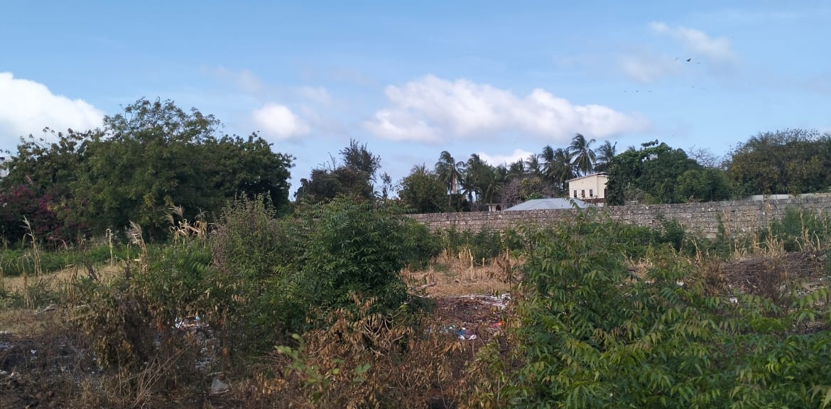 Prime 50x100 vacant plot in Casuarina, Malindi for KSh 3.5M. Secure and well-positioned just off Casuarina Road, 10 minutes to Silver Sands Beach. Perfect for residential or boutique commercial use, with utilities nearby and a clean title. Contact Mkaazi Real Estate LTD for viewing and verification today.