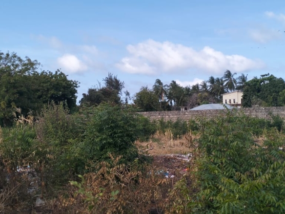 Prime 50x100 vacant plot in Casuarina, Malindi for KSh 3.5M. Secure and well-positioned just off Casuarina Road, 10 minutes to Silver Sands Beach. Perfect for residential or boutique commercial use, with utilities nearby and a clean title. Contact Mkaazi Real Estate LTD for viewing and verification today.