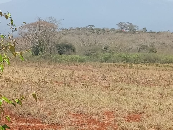 Land for sale Entarara Rombo Loitokitok, Kilimanjaro land Kenya, Loitokitok investment property, farmland for sale Kenya, eco-lodge land Kilimanjaro, Mkaazi Real Estate