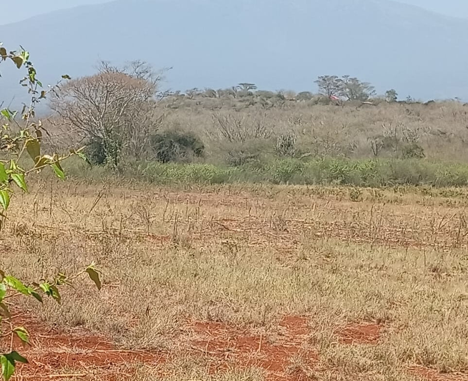 Land for sale Entarara Rombo Loitokitok, Kilimanjaro land Kenya, Loitokitok investment property, farmland for sale Kenya, eco-lodge land Kilimanjaro, Mkaazi Real Estate