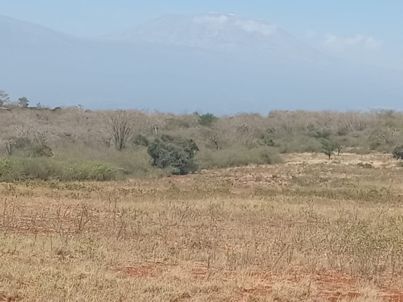 Land for sale Entarara Rombo Loitokitok, Kilimanjaro land Kenya, Loitokitok investment property, farmland for sale Kenya, eco-lodge land Kilimanjaro, Mkaazi Real Estate