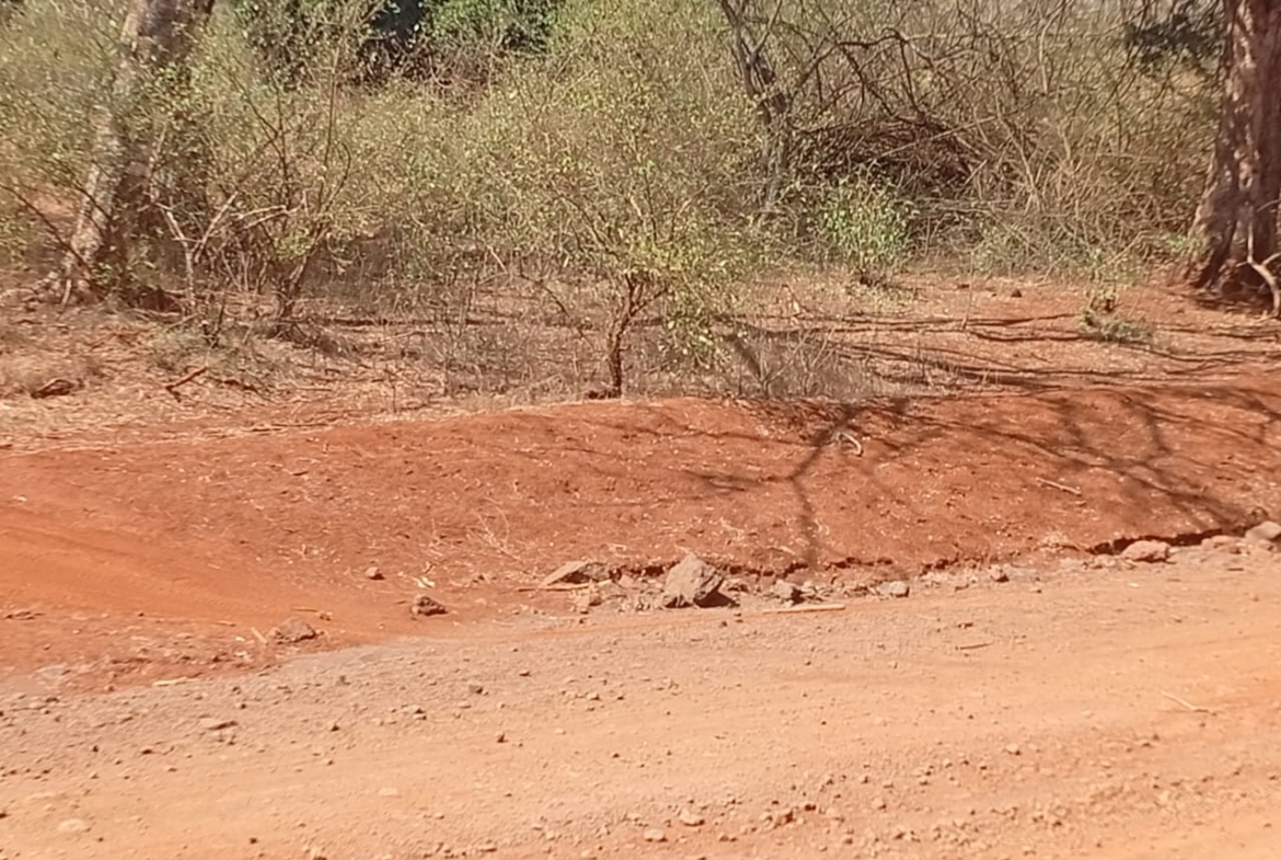 Land for sale Entarara Rombo Loitokitok, Kilimanjaro land Kenya, Loitokitok investment property, farmland for sale Kenya, eco-lodge land Kilimanjaro, Mkaazi Real Estate