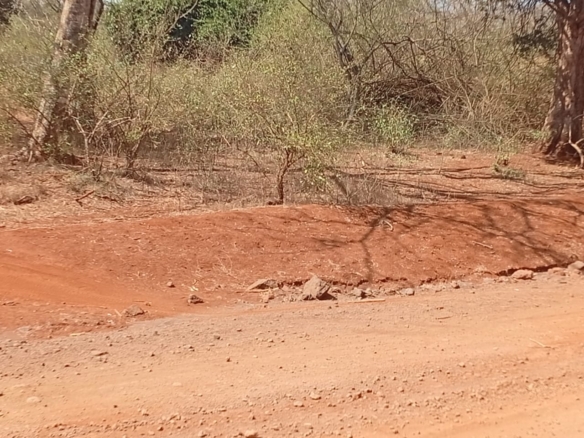 Land for sale Entarara Rombo Loitokitok, Kilimanjaro land Kenya, Loitokitok investment property, farmland for sale Kenya, eco-lodge land Kilimanjaro, Mkaazi Real Estate