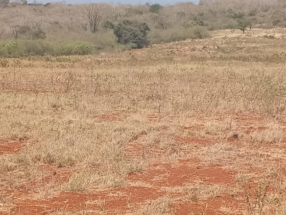 Land for sale Entarara Rombo Loitokitok, Kilimanjaro land Kenya, Loitokitok investment property, farmland for sale Kenya, eco-lodge land Kilimanjaro, Mkaazi Real Estate
