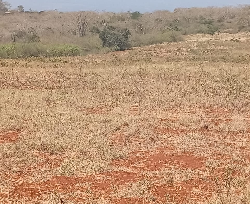 Land for sale Entarara Rombo Loitokitok, Kilimanjaro land Kenya, Loitokitok investment property, farmland for sale Kenya, eco-lodge land Kilimanjaro, Mkaazi Real Estate