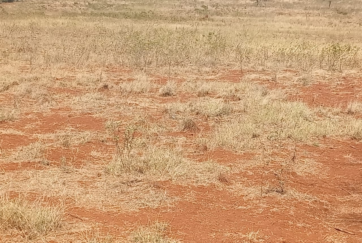 Land for sale Entarara Rombo Loitokitok, Kilimanjaro land Kenya, Loitokitok investment property, farmland for sale Kenya, eco-lodge land Kilimanjaro, Mkaazi Real Estate