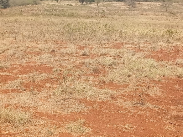 Land for sale Entarara Rombo Loitokitok, Kilimanjaro land Kenya, Loitokitok investment property, farmland for sale Kenya, eco-lodge land Kilimanjaro, Mkaazi Real Estate