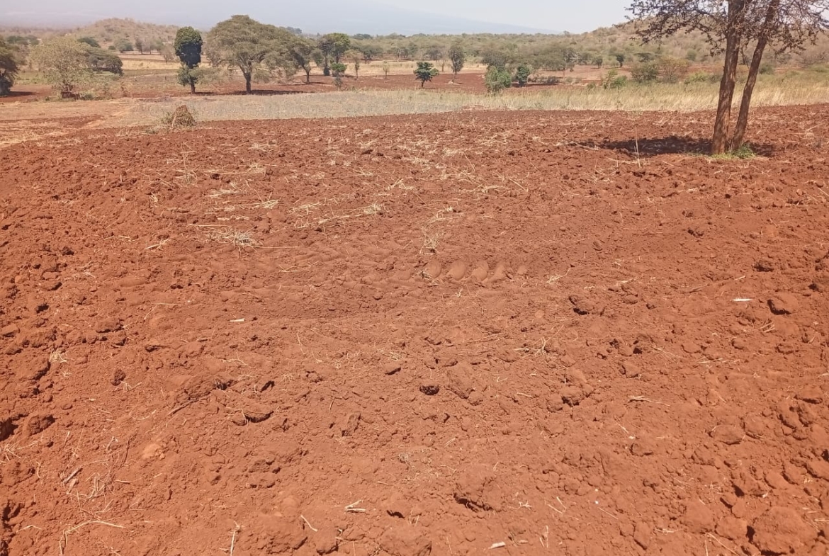 Land for sale Entarara Rombo Loitokitok, Kilimanjaro land Kenya, Loitokitok investment property, farmland for sale Kenya, eco-lodge land Kilimanjaro, Mkaazi Real Estate
