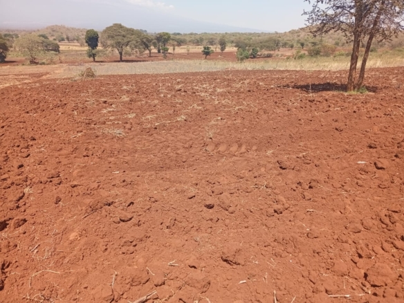 Land for sale Entarara Rombo Loitokitok, Kilimanjaro land Kenya, Loitokitok investment property, farmland for sale Kenya, eco-lodge land Kilimanjaro, Mkaazi Real Estate