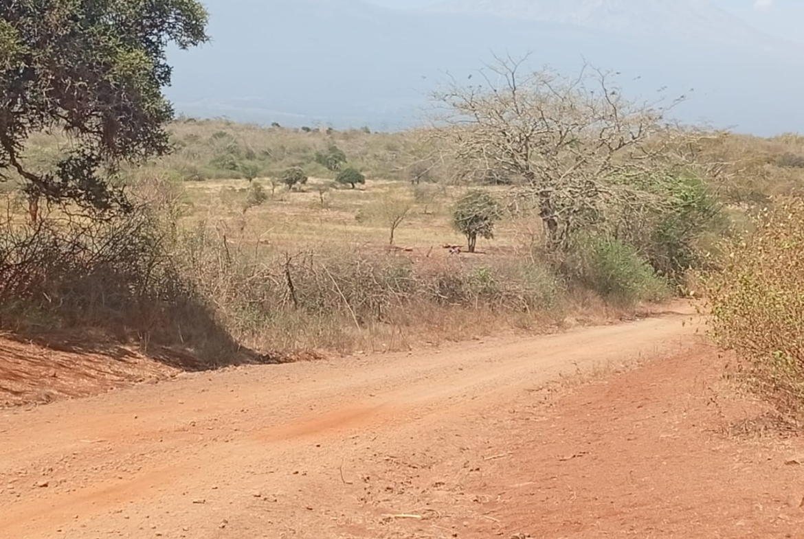 Land for sale Entarara Rombo Loitokitok, Kilimanjaro land Kenya, Loitokitok investment property, farmland for sale Kenya, eco-lodge land Kilimanjaro, Mkaazi Real Estate
