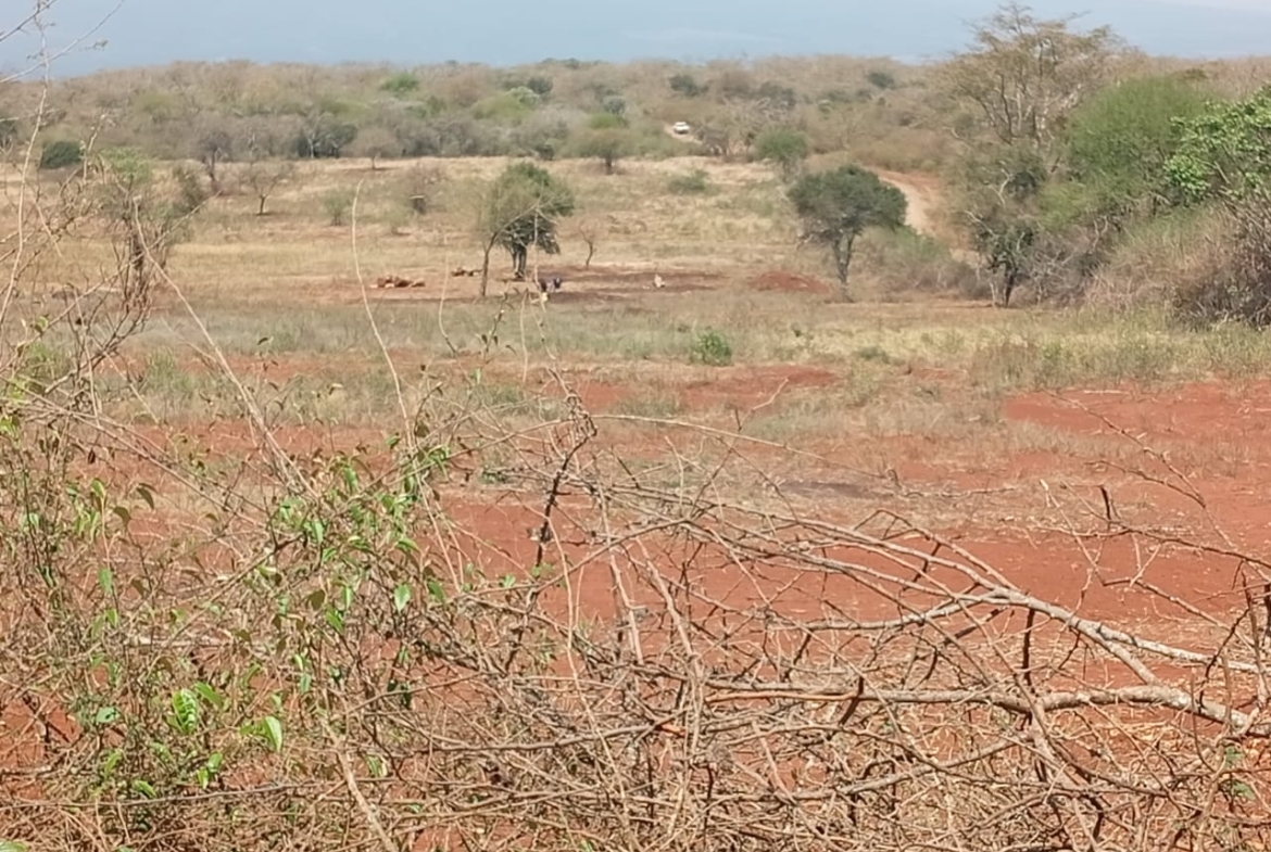 Land for sale Entarara Rombo Loitokitok, Kilimanjaro land Kenya, Loitokitok investment property, farmland for sale Kenya, eco-lodge land Kilimanjaro, Mkaazi Real Estate