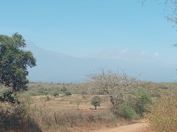 Land for sale Entarara Rombo Loitokitok, Kilimanjaro land Kenya, Loitokitok investment property, farmland for sale Kenya, eco-lodge land Kilimanjaro, Mkaazi Real Estate