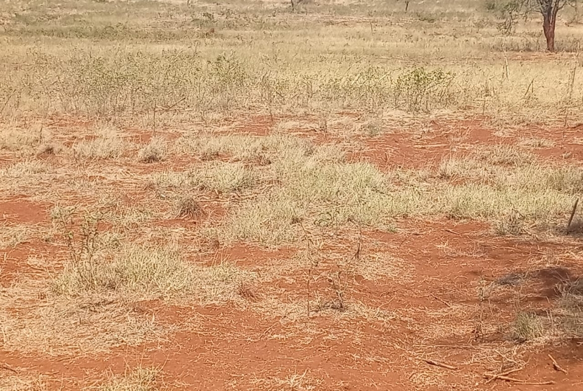 Land for sale Entarara Rombo Loitokitok, Kilimanjaro land Kenya, Loitokitok investment property, farmland for sale Kenya, eco-lodge land Kilimanjaro, Mkaazi Real Estate