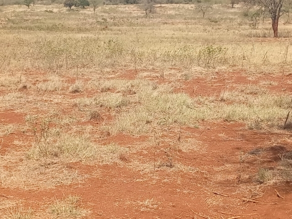 Land for sale Entarara Rombo Loitokitok, Kilimanjaro land Kenya, Loitokitok investment property, farmland for sale Kenya, eco-lodge land Kilimanjaro, Mkaazi Real Estate