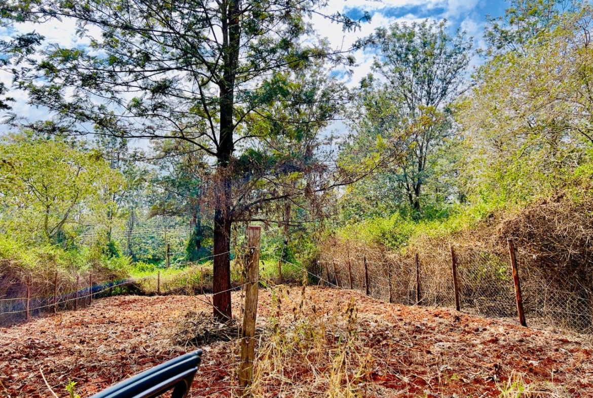 Oaklands plot for sale, Ruiru land, 50x100 plot Oaklands, land for sale Kiambu, Mkaazi Real Estate, Tatu City proximity